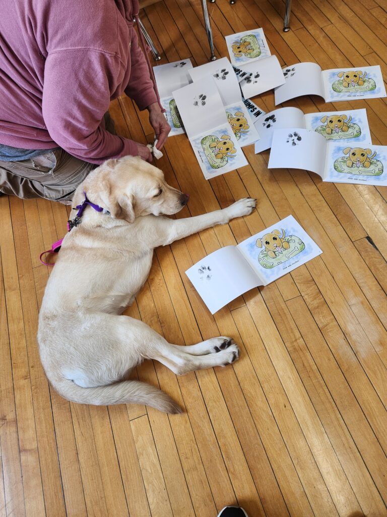 June is now the ambassador of Abby's Paws for a Cause.  She is a Yellow Lab that was donated by the Kramer Foundation.  